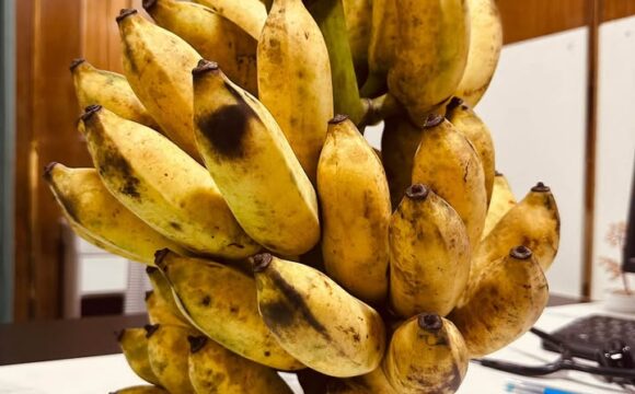এক ছড়া কলা ও