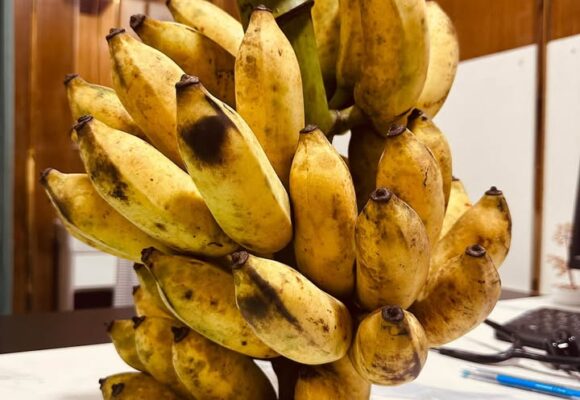 এক ছড়া কলা ও