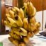 এক ছড়া কলা ও